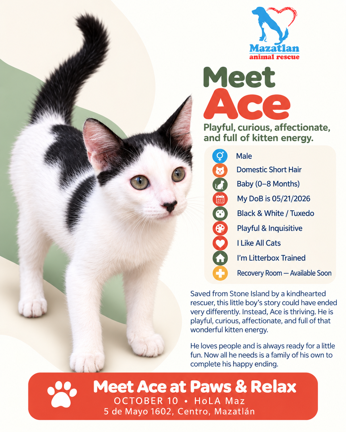 Ace, an adoptable pet from Mazatlan Animal Rescue