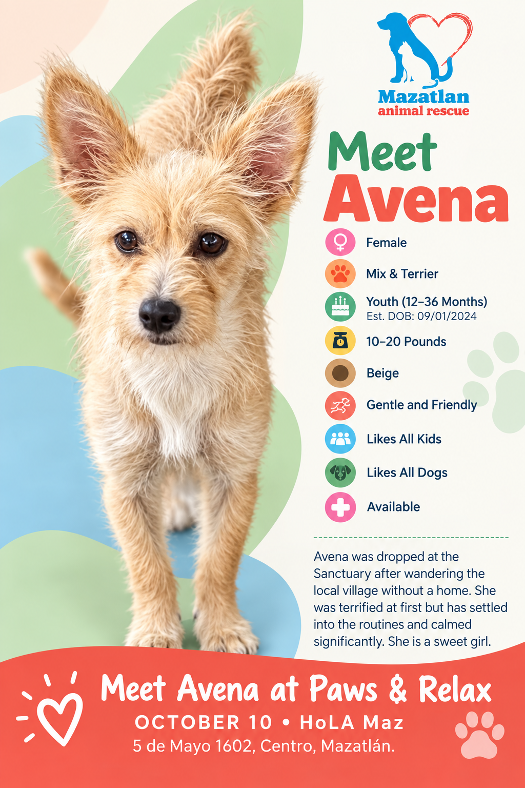 Avena, an adoptable pet from Mazatlan Animal Rescue