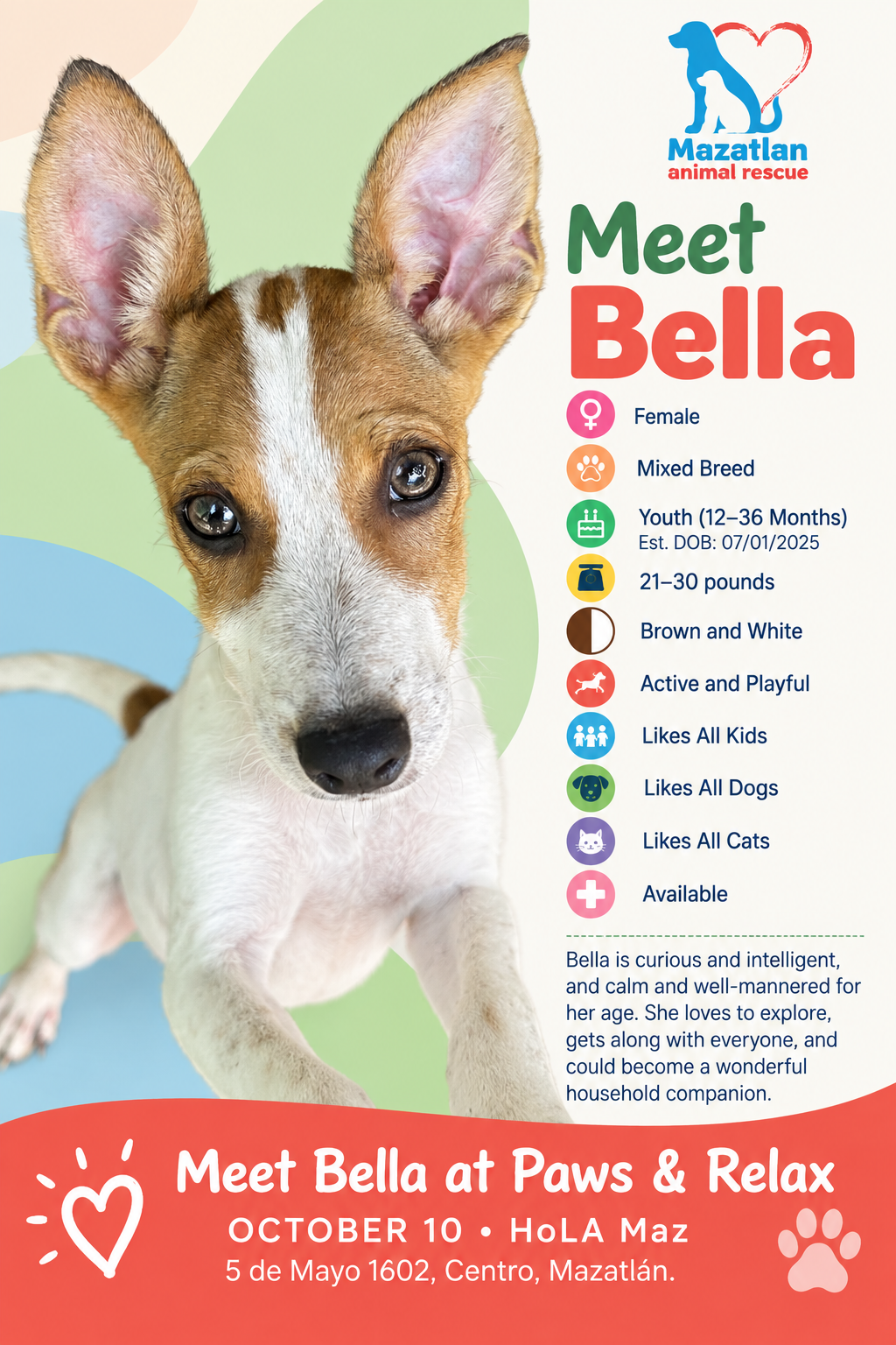 Bella, an adoptable pet from Mazatlan Animal Rescue