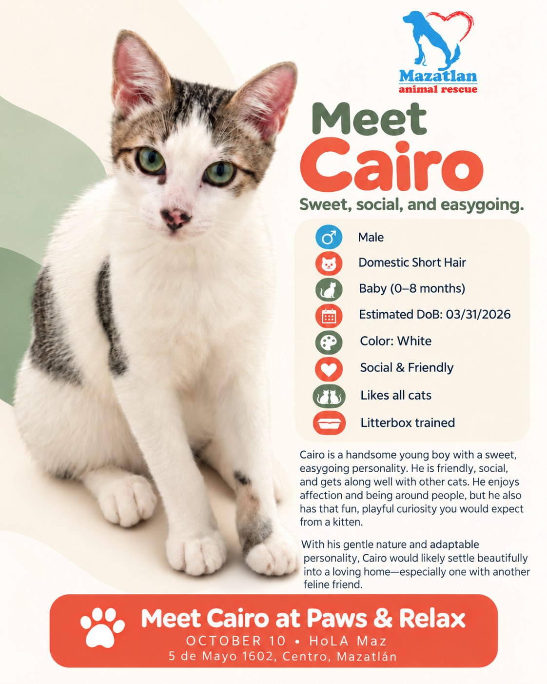 Cairo, an adoptable pet from Mazatlan Animal Rescue