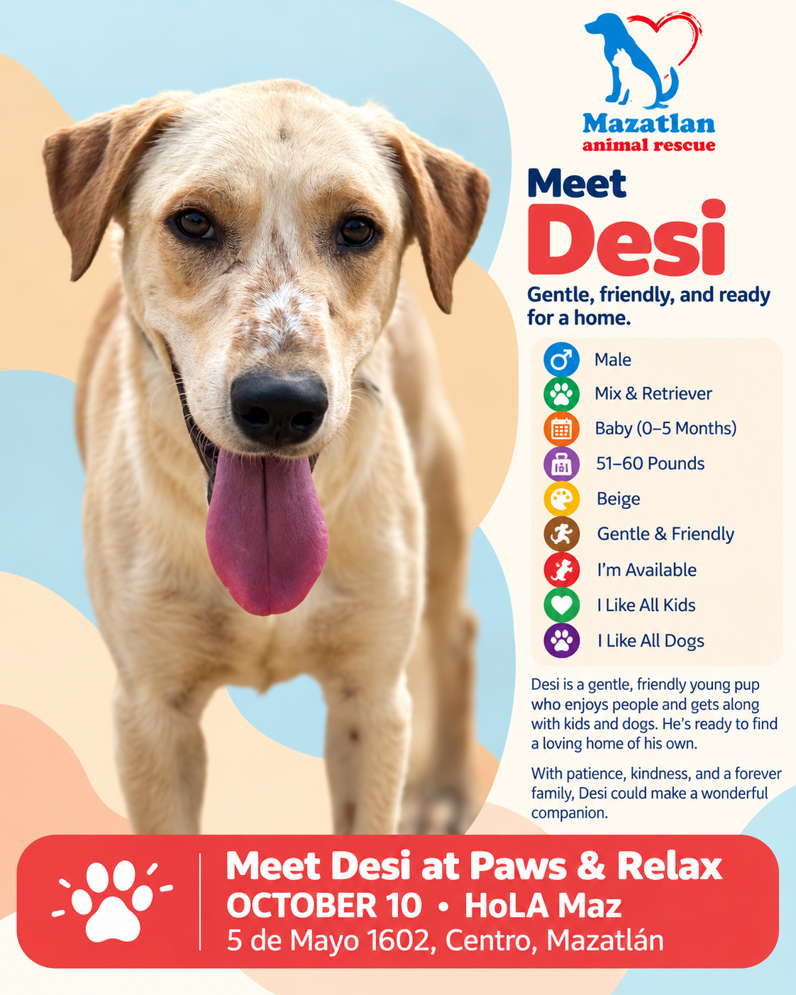 Desi, an adoptable pet from Mazatlan Animal Rescue