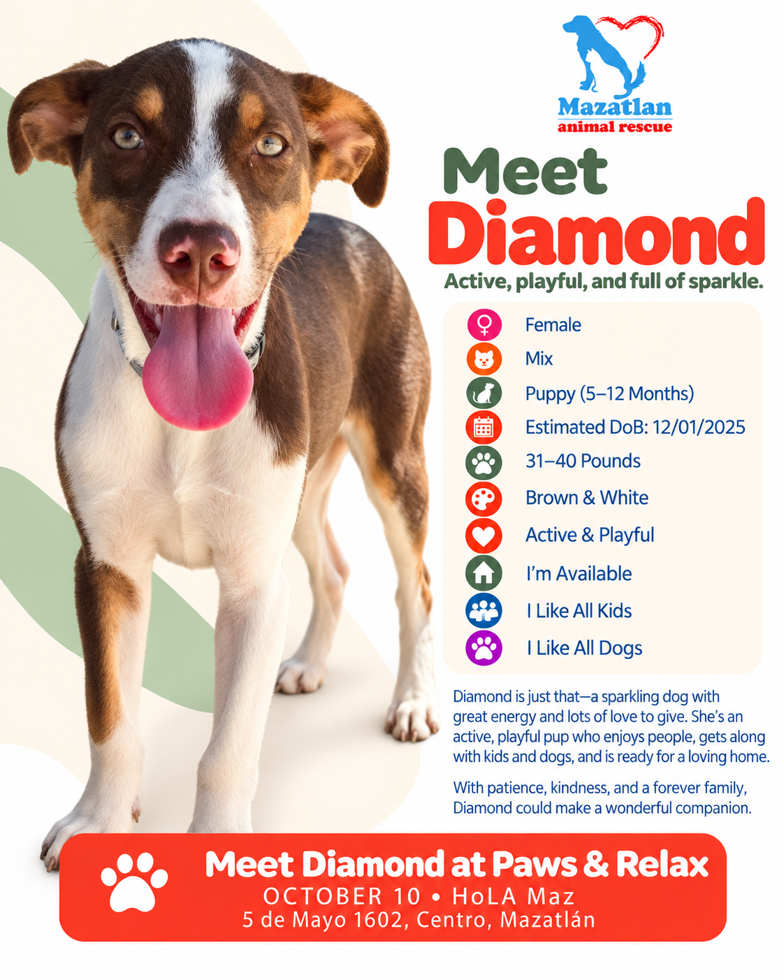 Diamond, an adoptable pet from Mazatlan Animal Rescue