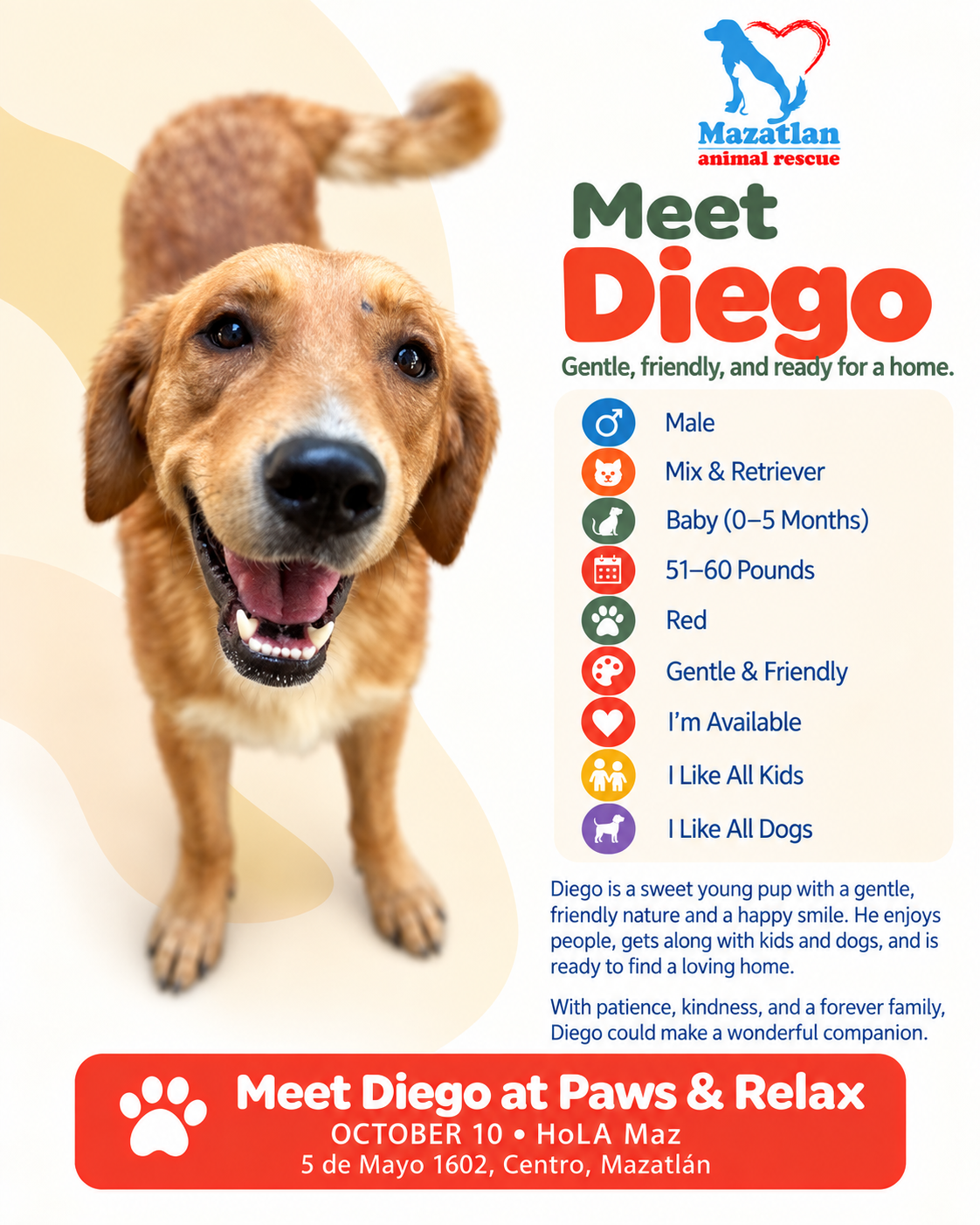 Diego, an adoptable pet from Mazatlan Animal Rescue