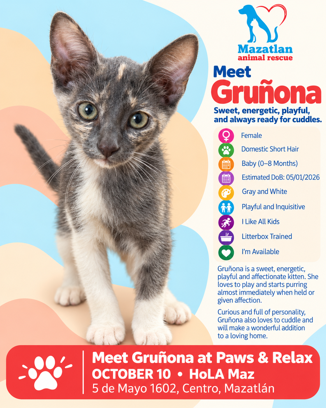 Grunona, an adoptable pet from Mazatlan Animal Rescue