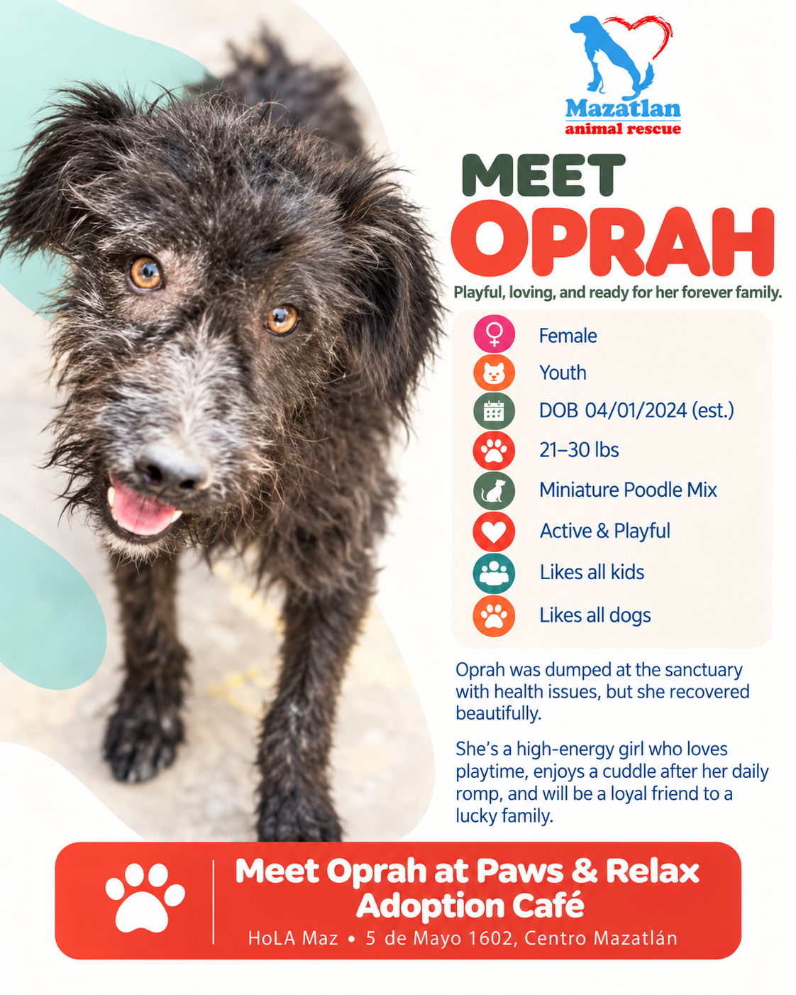 Oprah, an adoptable pet from Mazatlan Animal Rescue