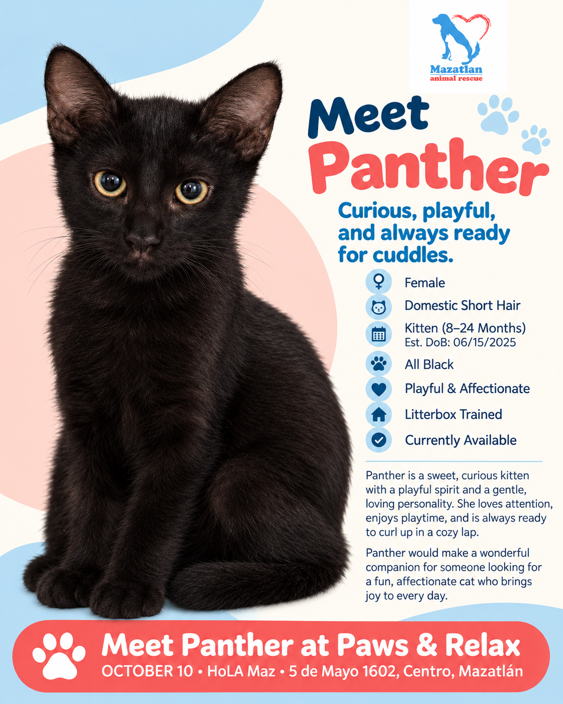 Panther, an adoptable pet from Mazatlan Animal Rescue