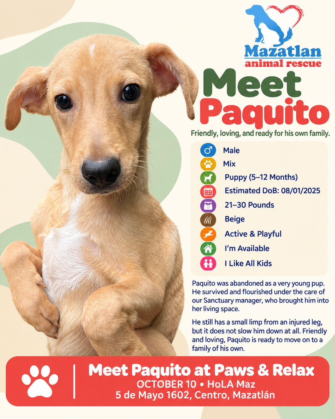 Paquito, an adoptable pet from Mazatlan Animal Rescue